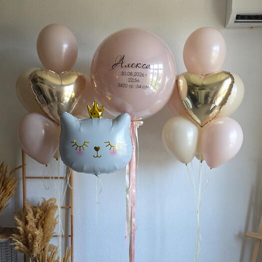 Набор шаров на выписку из роддома девочке дочке с метрикой и фонтаном
«Мур Мур