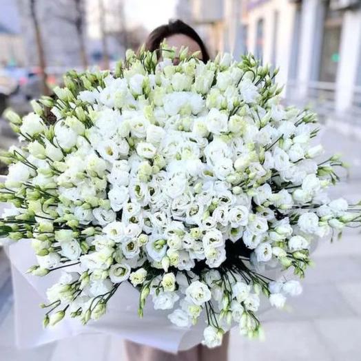 Bouquet of 101 white eustoma