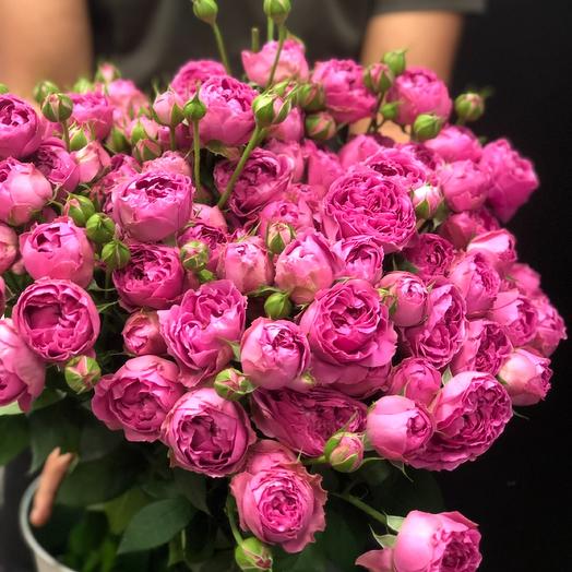 Rosas de arbusto en forma de peonía ( manojo grande )