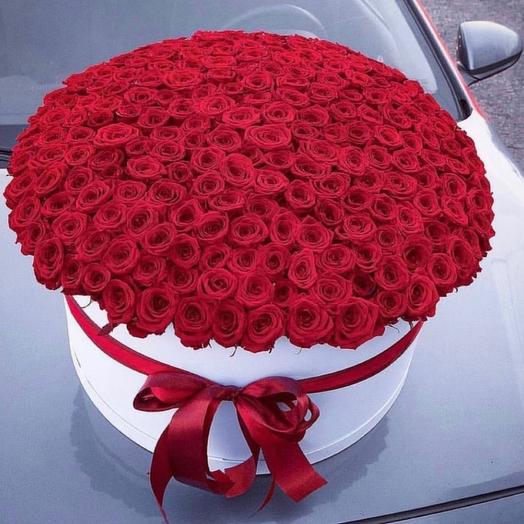 101 rosas por Caja