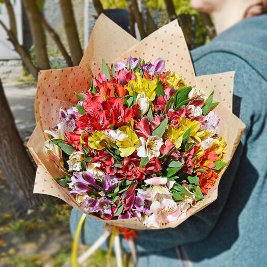 Alstroemeria