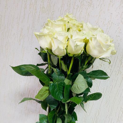 Rosas Mondial