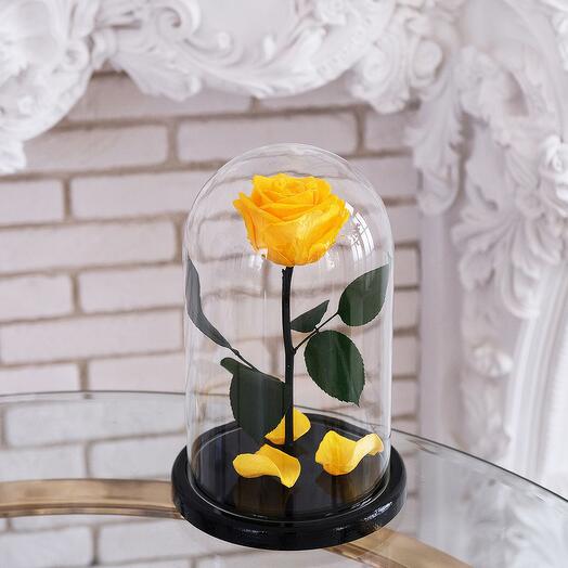 Роза в колбе «King» жёлтая