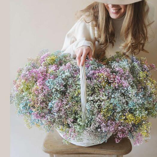 Basket with rainbow gypsophila