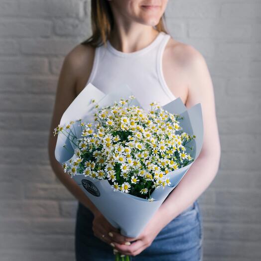 Bouquet of daisies