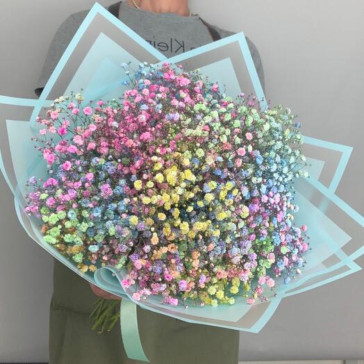 Ramo de gypsophila iridiscente