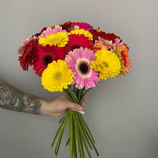 21 gerbera Mix