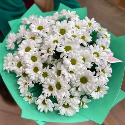 9 white chamomile chrysanthemums
