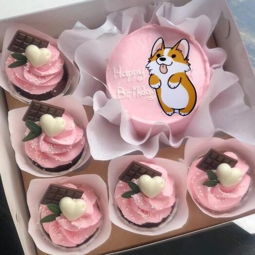 Set of cake and cupcakes 5 pcs