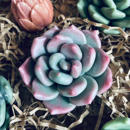 Jabón hecho a mano "Succulent Echeveria"
