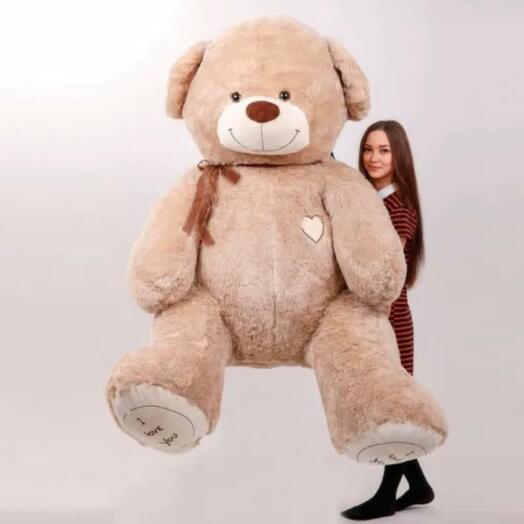 Bear 220 cm
