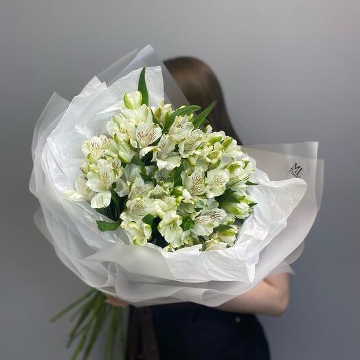 Alstroemeria M (15)