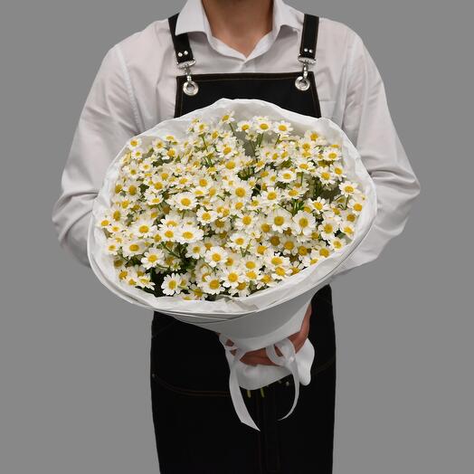 Летняя кустовая ромашка
