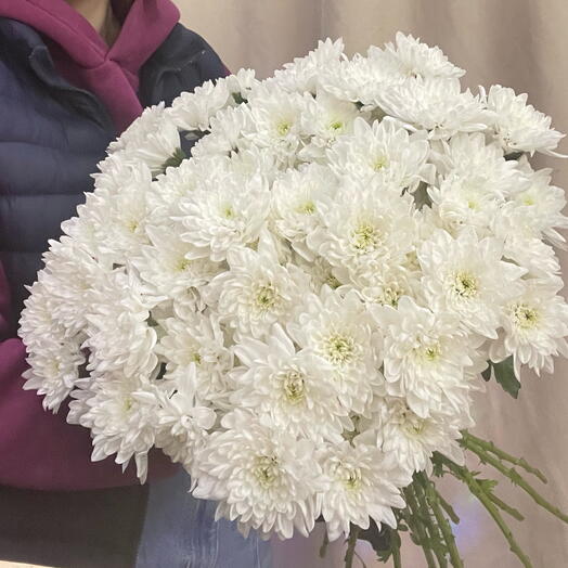Букет из 15 белых хризантем