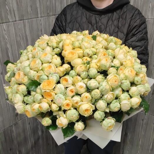 Букет из 101 кустовой пионовидной розы