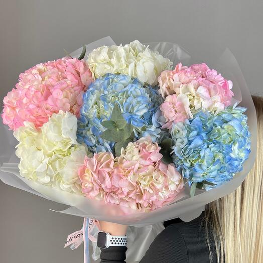Hortensia. Elegante, ramo grande
