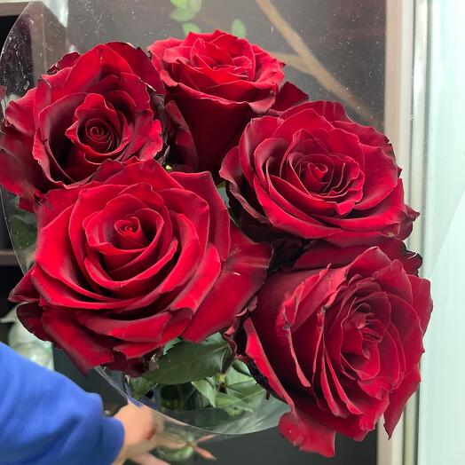 Алый букет из 5 роз эквадор в целлофане😍