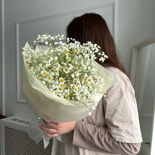 Солнечные следы