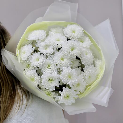 Белые хризантемы