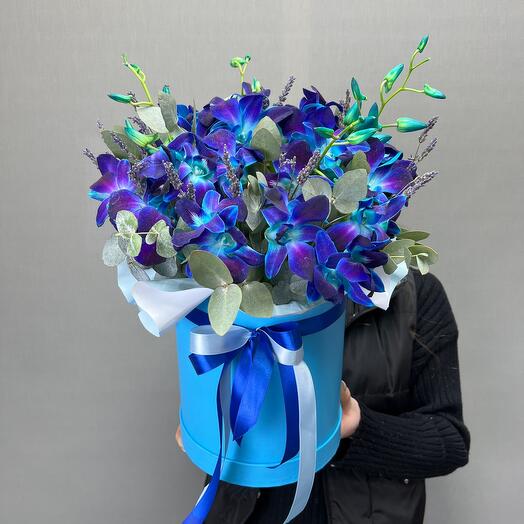 Orchid (dendrobium) in a box