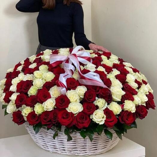 199 Red And White Roses