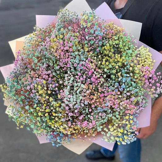 Colorful gypsophila