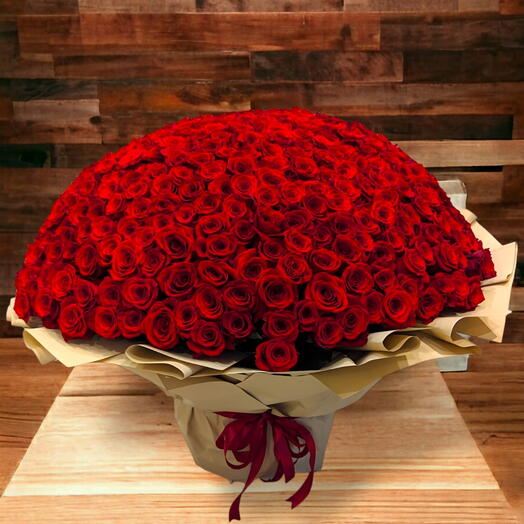 501 Red Roses
