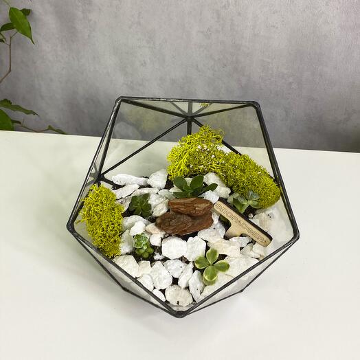 5 суккулентов в флорариуме Икосаэдр S (Small, маленький)
