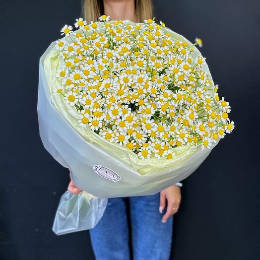 Daisies 15 pieces
