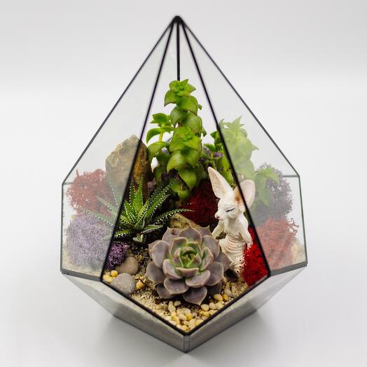 Флорариум Сфинкс новый год