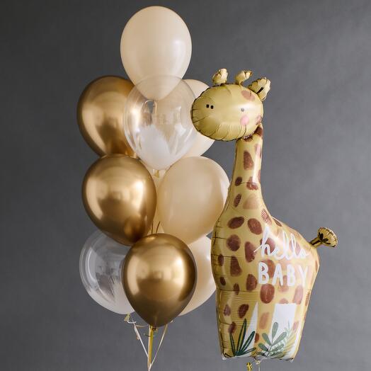 Шары на выписку "Долгожданный малыш"