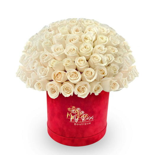 Red Velvet Box With 100 white Roses