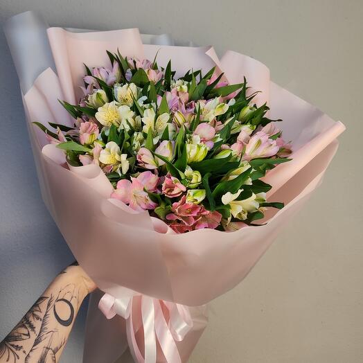 25 alstroemeria suave