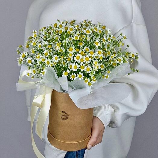 A box of thanacetum
