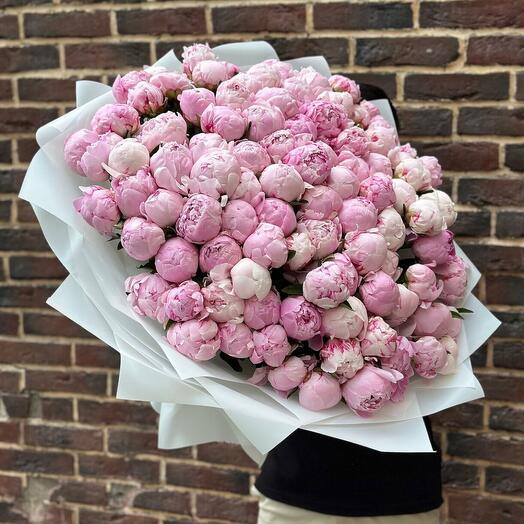 101 Pink peonies
