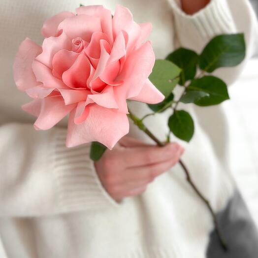 Calado rosa rosa