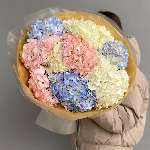 9 гортензий