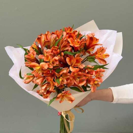 Alstroemeria naranja