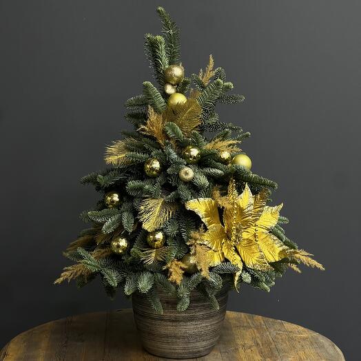 Ёлка «Бой курантов» Нобилис