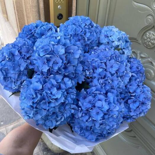 Bouquet of blue hydrangeas premium