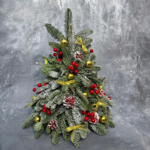 Счастливый 2025 ёлочка из живой хвои