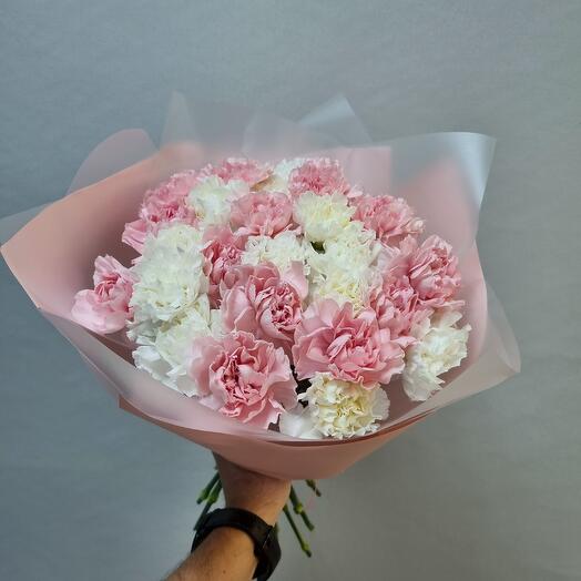 Микс из 25 нежного диантуса