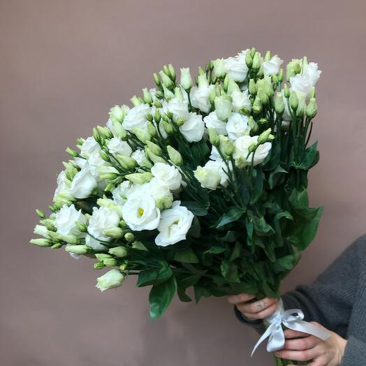 Эустома белая 21 шт