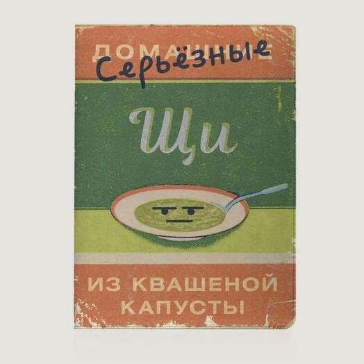 Обложка на паспорт Серьезные Щи