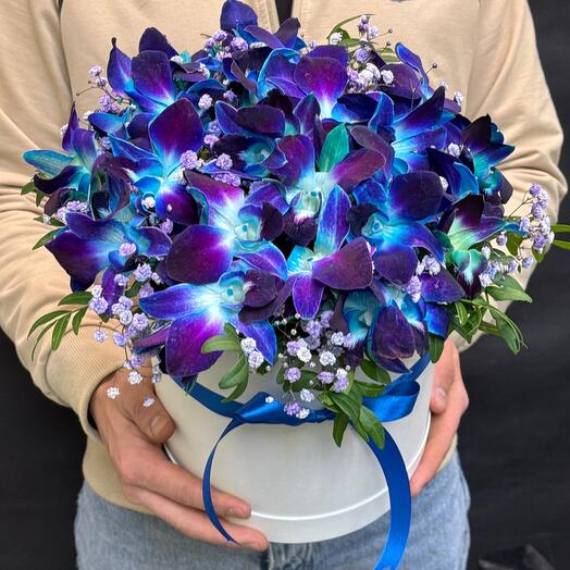 Синие орхидеи в коробке супер подарок 🎁