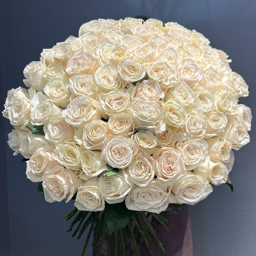 75 White Roses