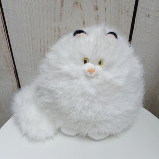 Кошарик пушистый