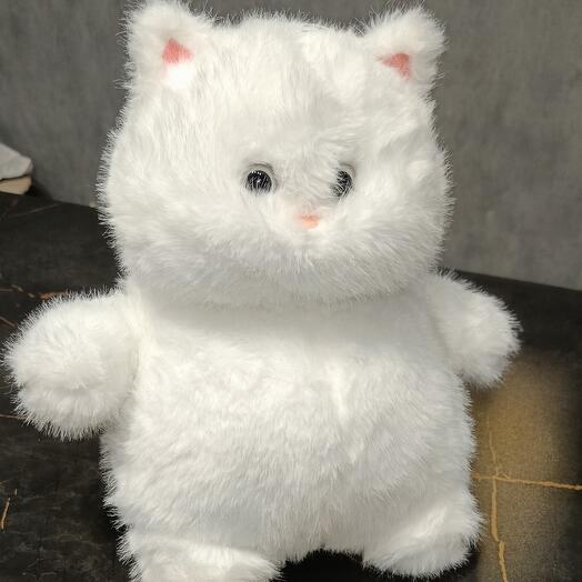 Кот белый