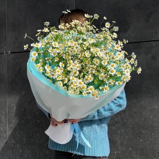Букет из 15 кустовых ромашек