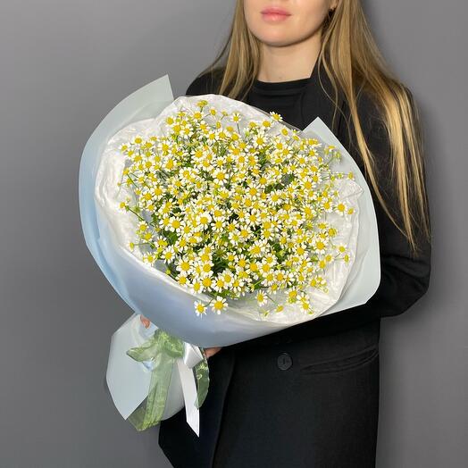 Монобукет нежных ромашек 15 шт (танацетум)